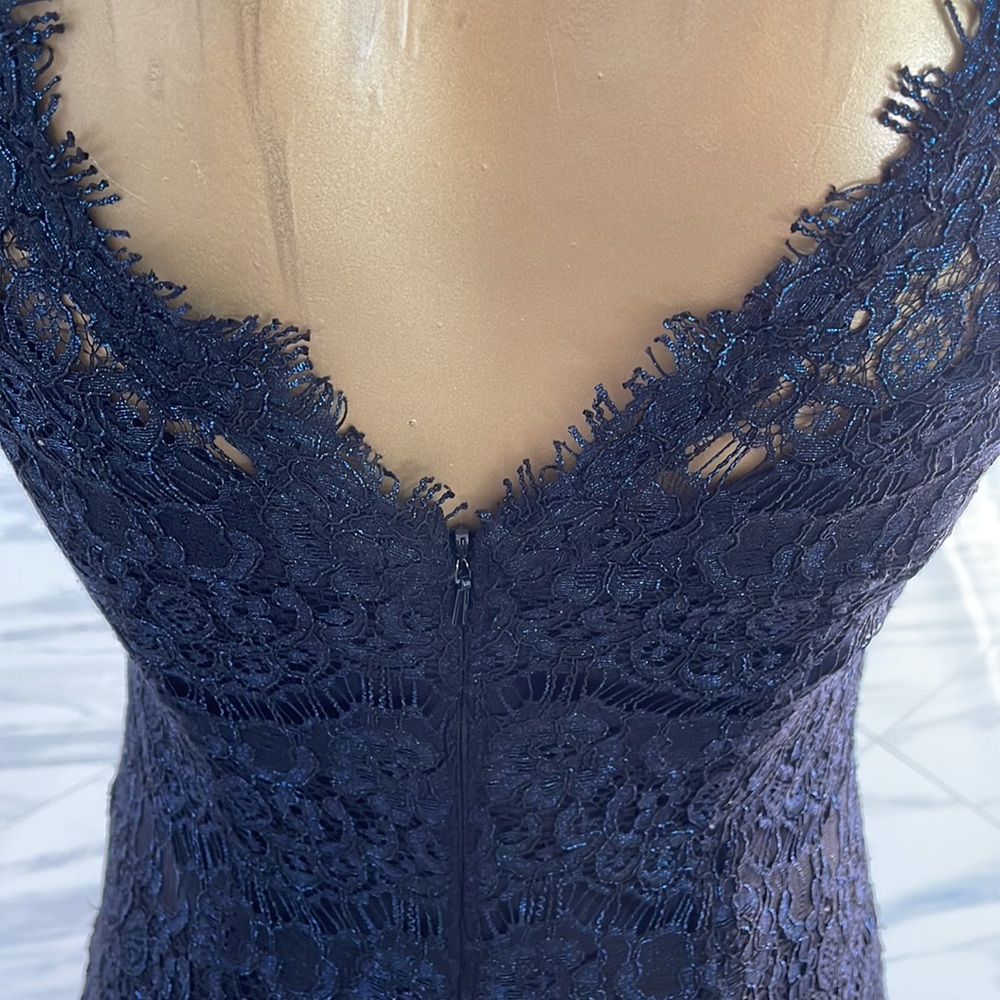 🌺🌺Betsy & Adam Beautiful Women’s Lace Dress Size Small 🌺🌺🌺 - Picture 8 of 12